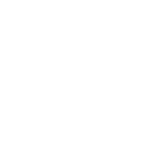 Figen Sakallıoğlu Anadolu Lisesi amblemi